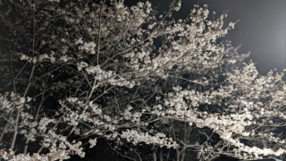 Thumbnail of post image 053